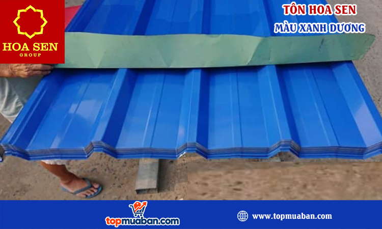 Tôn hoa sen màu xanh dương