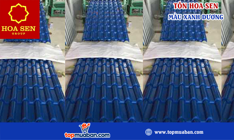 Tôn hoa sen màu xanh dương