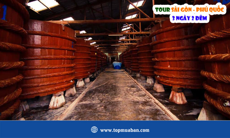 Tour Sài Gòn - Phú Quốc 3 ngày 2 đêm
